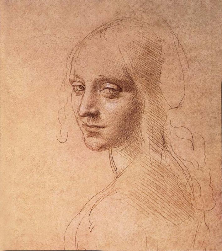 LEONARDO da Vinci Portrat of a Madchens china oil painting image